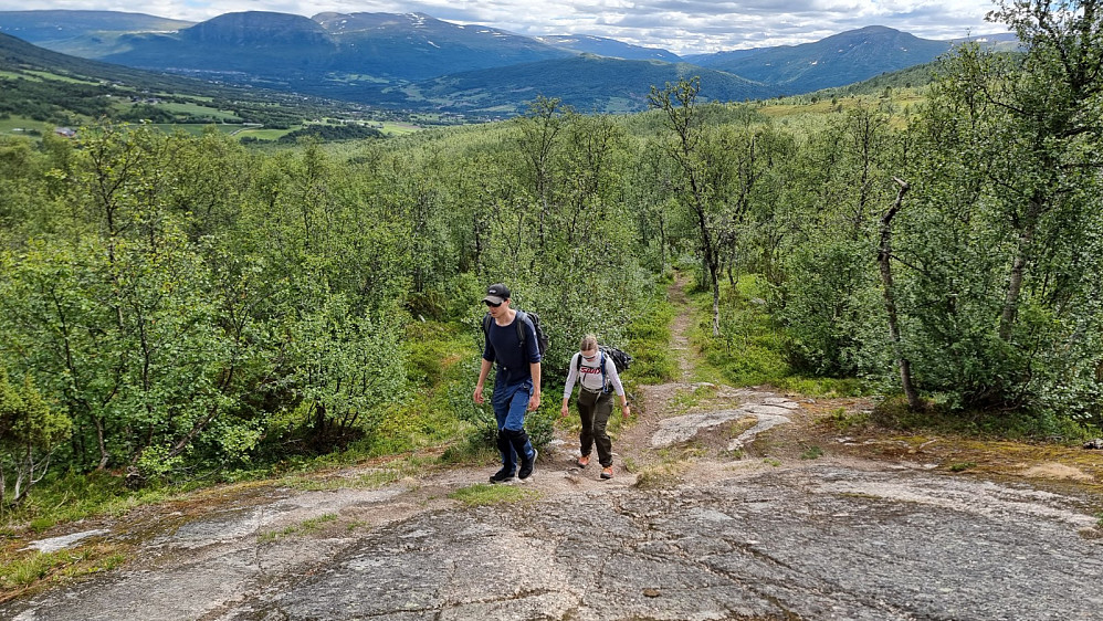 Tilbakeblikk litt oppe i lia hvor vi ser Sissihøa i bakgrunnen