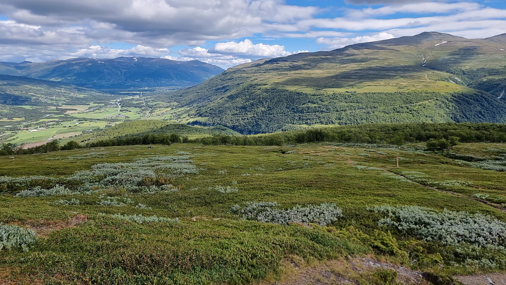 Tilbakeblikk ned mot start etter at vi er oppe av skogen