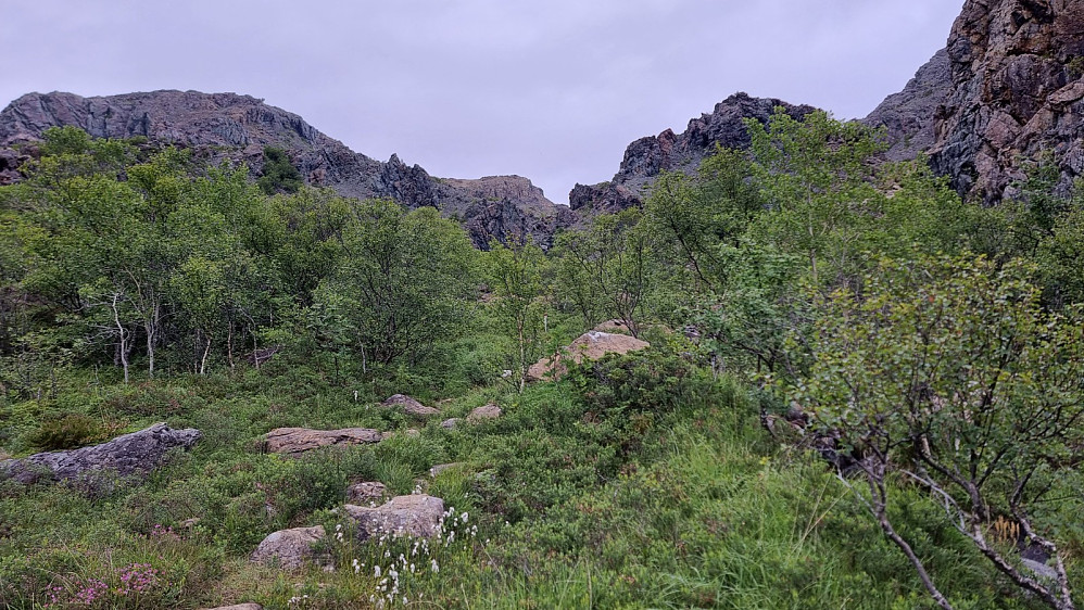 Ganske rufsete fjellformasjoner opp her
