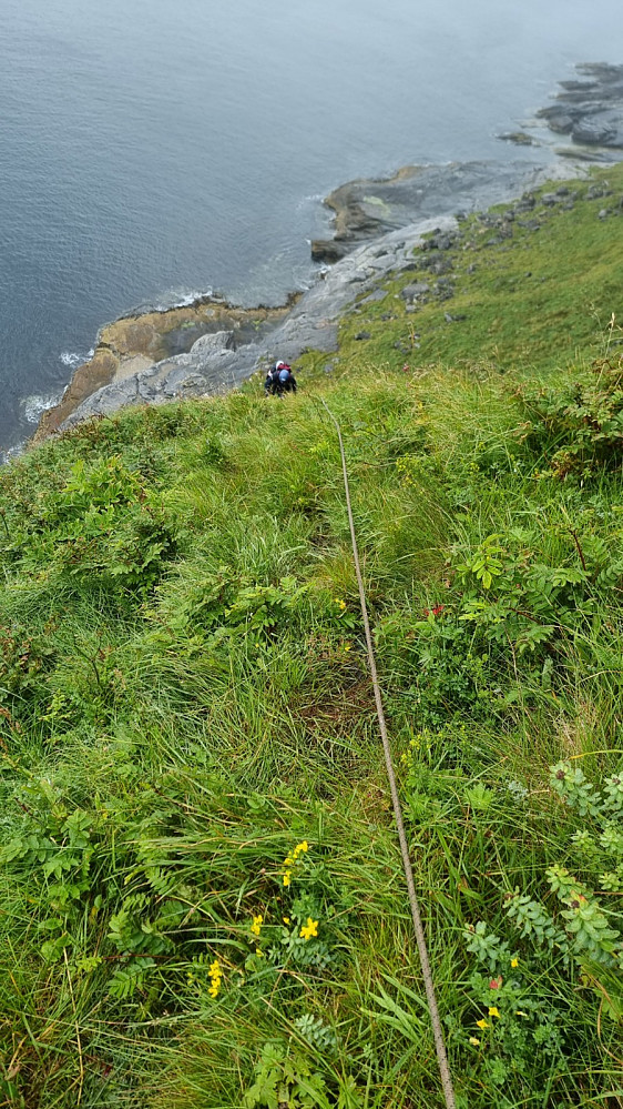 Jeg tilbød meg å lede, da det ikke kunne være vanskelig med ferdig sikret rute. Her opp et glatt gressparti i starten