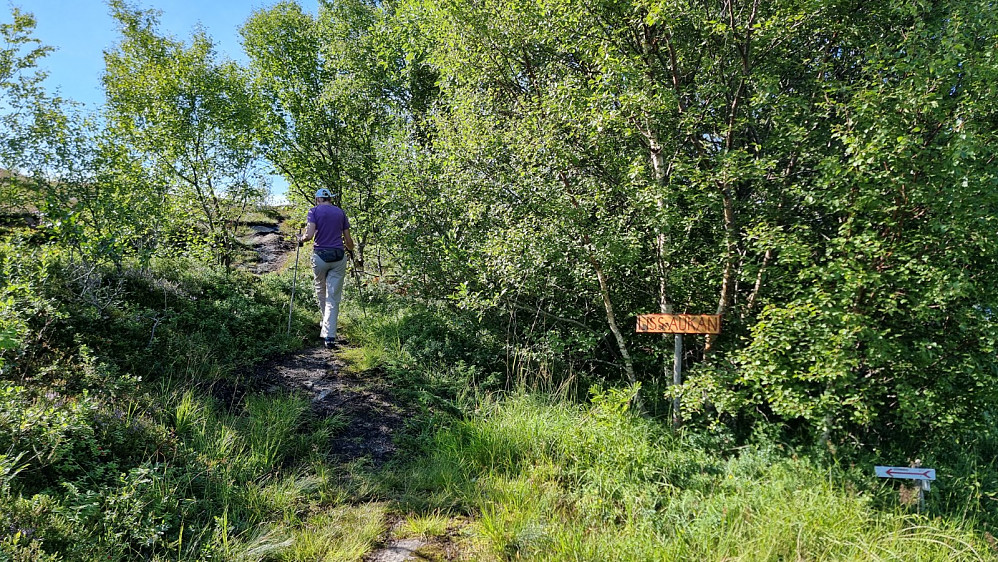 Skilt i stikryss
