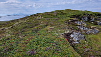 NJK500_20240722_669e50ea60b50.jpg