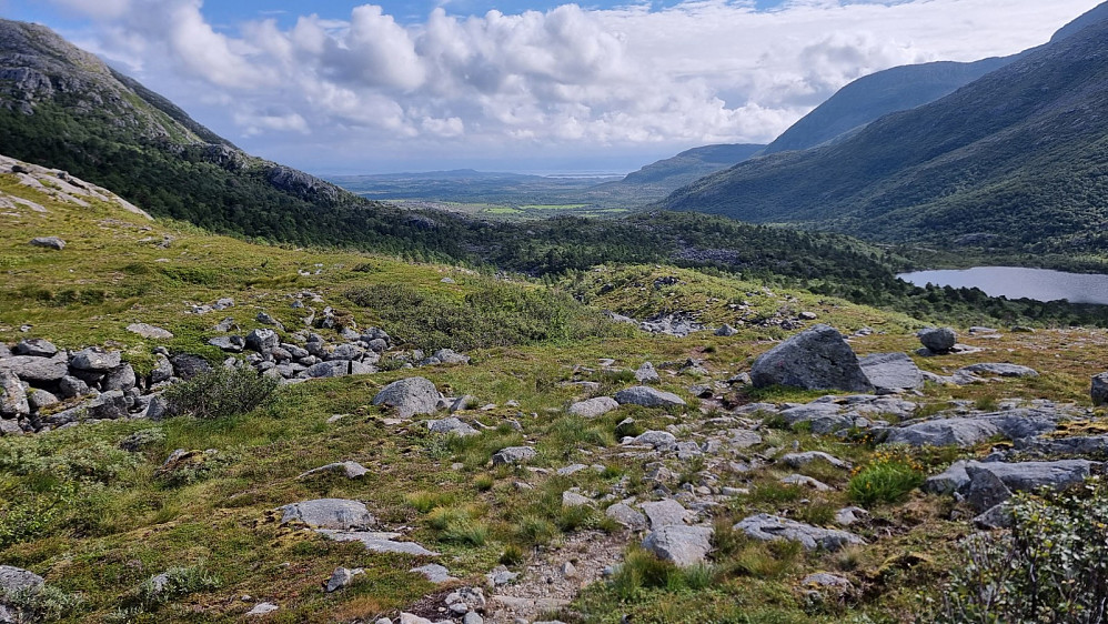 Tilbakeblikk et stykke over skogen