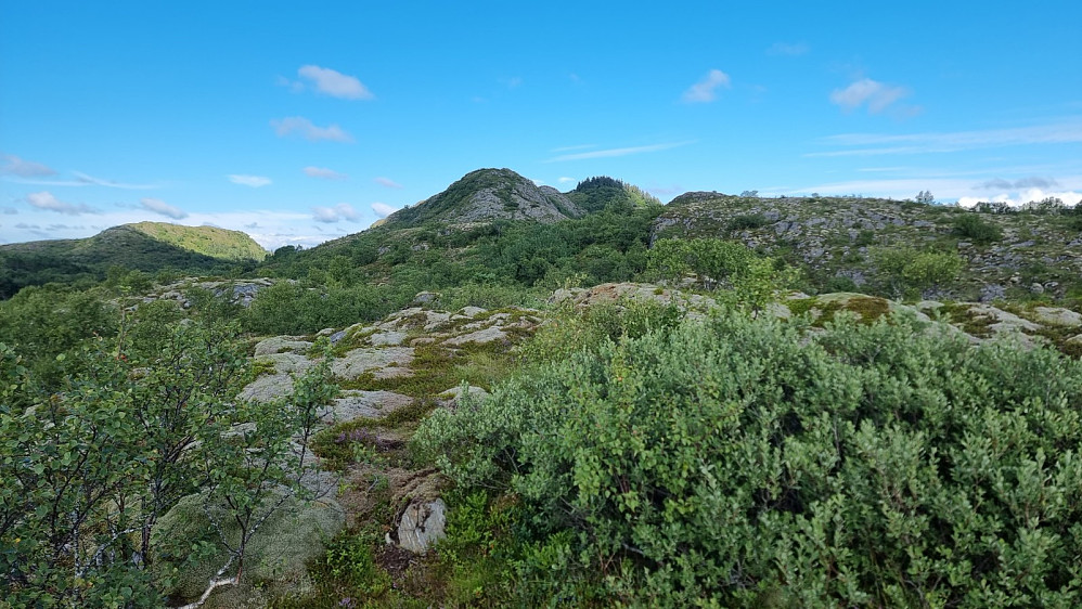 i det jeg kom opp og fikk fri sikt opp mot toppen, kom det 2 ørner i glideflukt forbi den