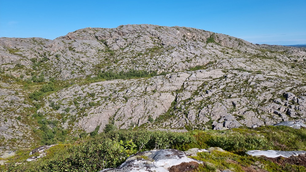 Merket sti gikk imidlertid kun til Vikerheia