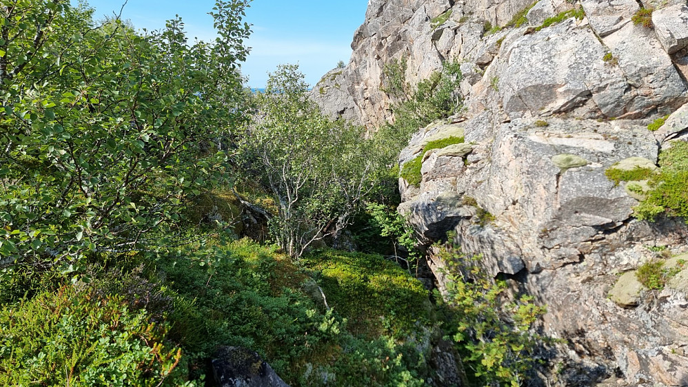 Det viste seg at avstanden over til Vikerfjellet ikke var stor fra Vikerheia, men det var et utfordrende terreng