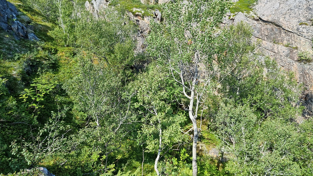 2 dype kløfter gjorde at det tok sin tid