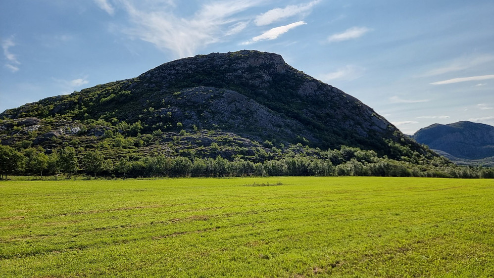 Jeg gikk en utydelig sti ned av fjellet og passerte da forbi Einvoldtinden når jeg kom ned på et jorde, men den fikk stå i fred, da jeg hadde igjen en lang retur langs veien og bort til sykkelen