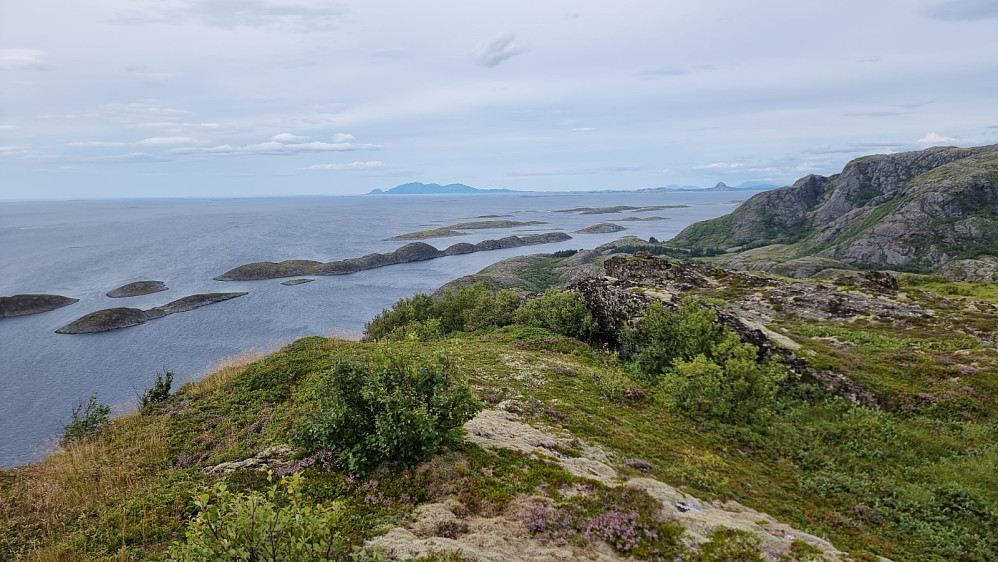 Utsikt mot Vega