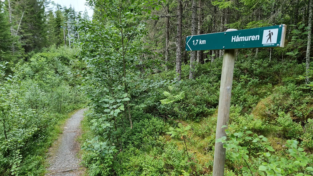 Etter et par hundre meter startet stien