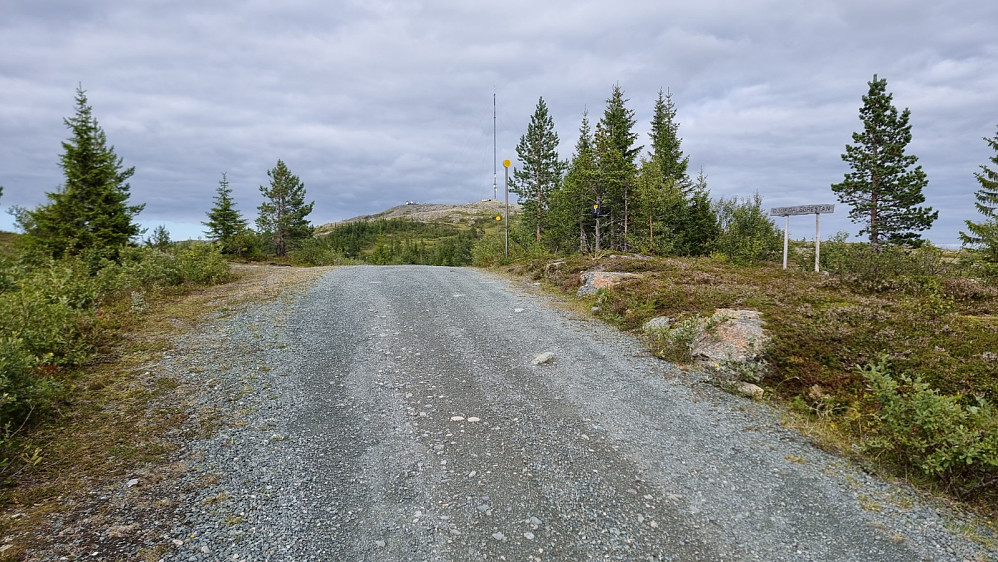 Her fikk jeg toppen i siktet