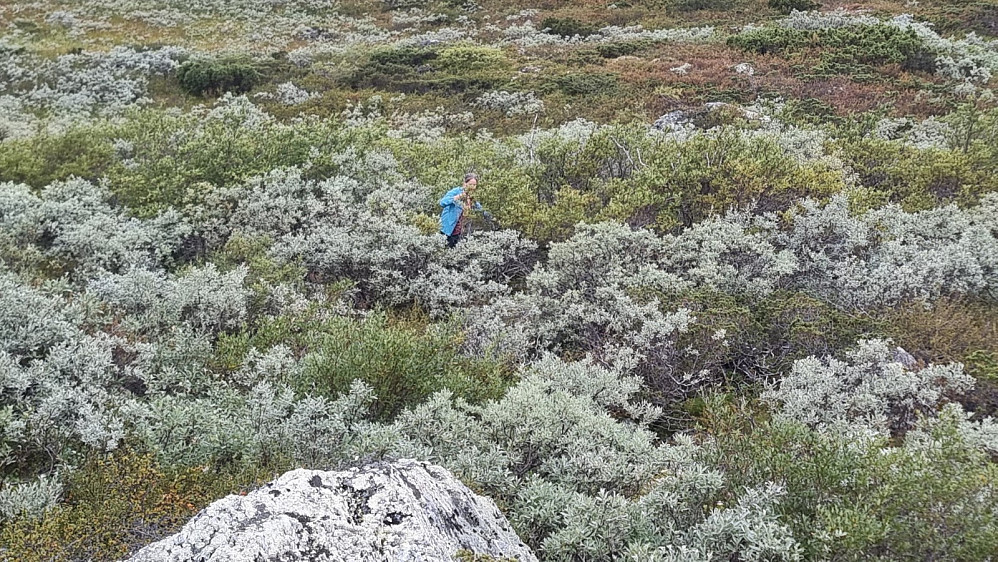 Krevende å ta seg frem her