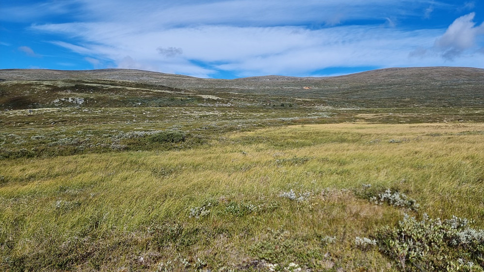 Stien opp mot gruva var umerket og utydelig, og etter denne myra fant jeg den ikke igjen
