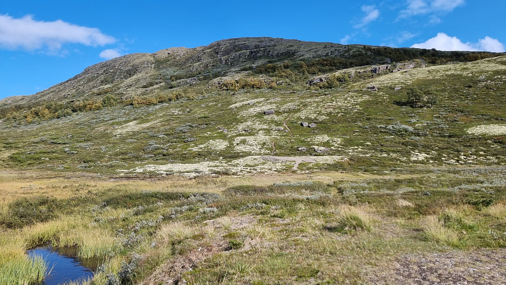 Fra parkeringsplassen og opp mot Marsjøberget. Jeg kunne følge fin sti opp mot fjellet