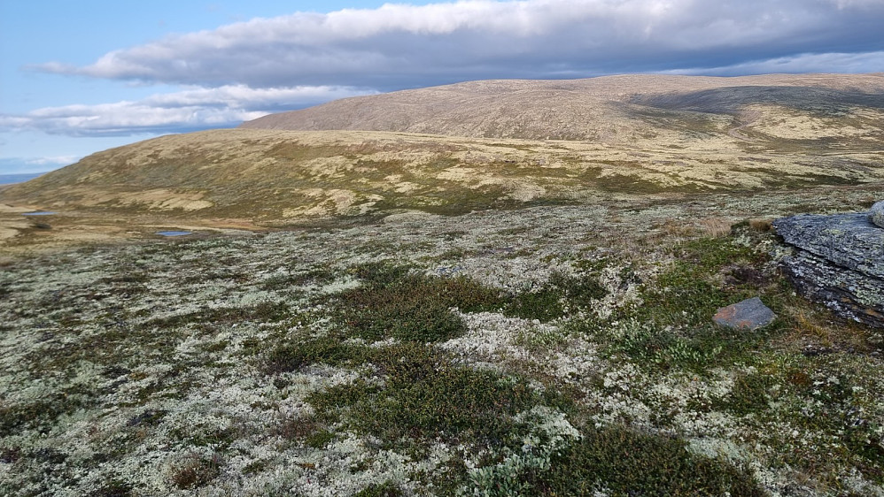 Fra Marsjøberget og over mot Sandtjørnhøa, og med Høg-Gia langt der bak
