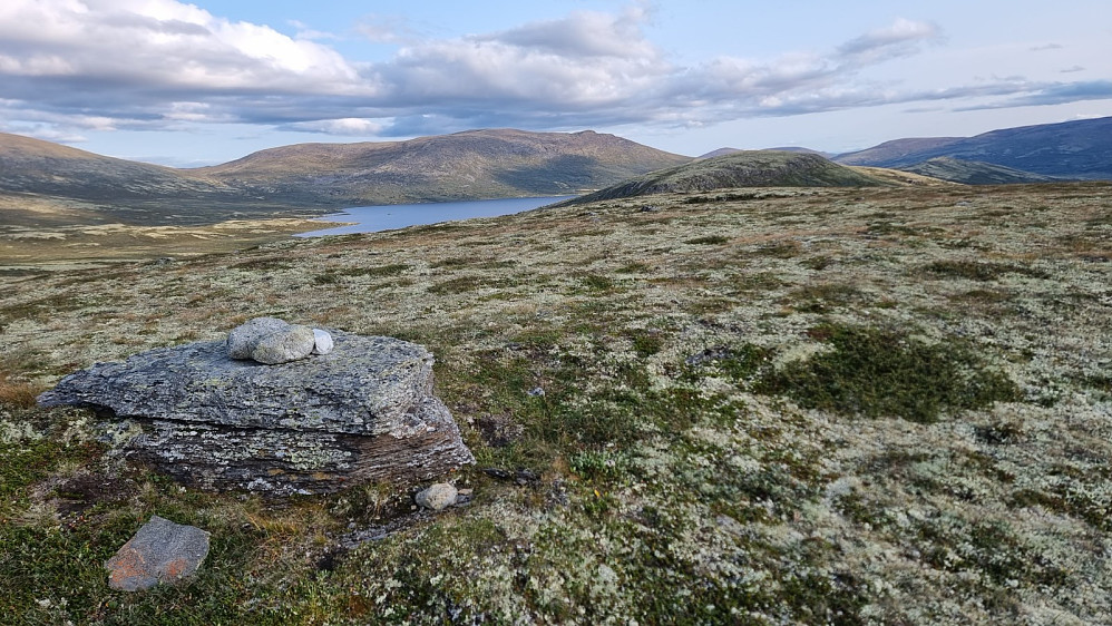 Fra Marsjøberget og mot Marsjøtangen og Marsjøen. Finnshøa i bakgrunnen