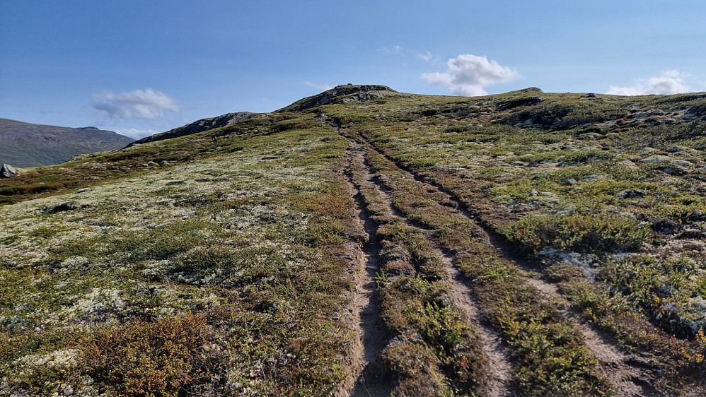 Lett å følge stien opp Marsjøtangen