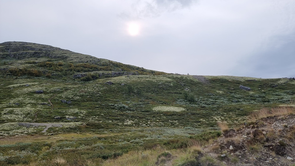 Sola ville ikke helt i dag