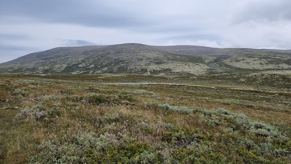 Etter å ha startet på samme sti som i forgårs, fortsatte jeg etterhvert vider inn mot Høg-Gia
