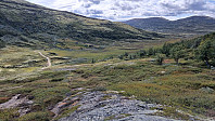 NJK500_20240819_66c341584e6f2.jpg