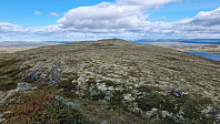 NJK500_20240819_66c34159cc9a2.jpg
