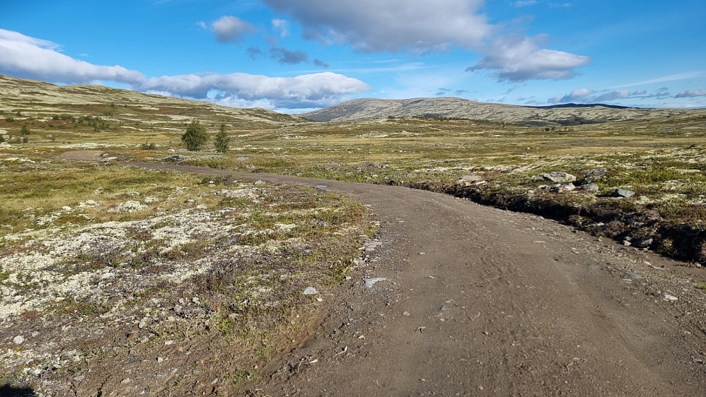 Veldig flott innover Gløtdalen. Her fikk jeg dagens første topp i siktet