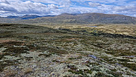NJK500_20240819_66c3415b41ec6.jpg