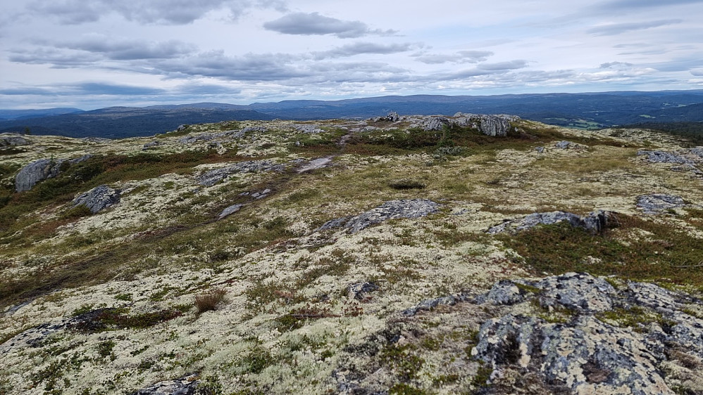 På toppen