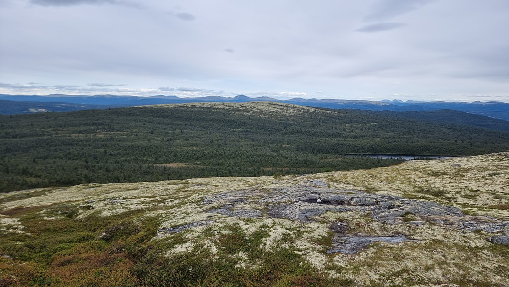 Over mot Tonnvola som blir dagens siste topp