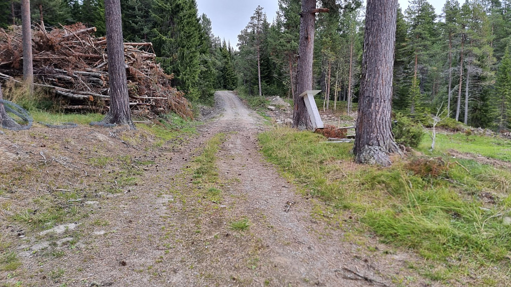 Etter å ha passert en grind, var det bare å tråkke på