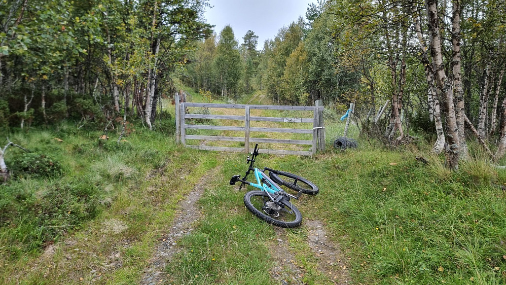 Lengre inn ventet det imidlertid flere bommer