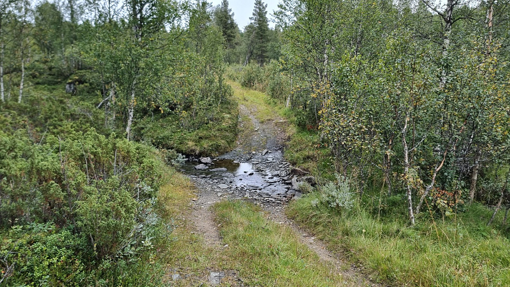 Også her ble det kryssing av bekken