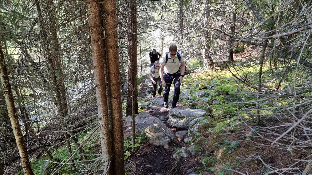 Vi startet i rolig tempo opp urskogen