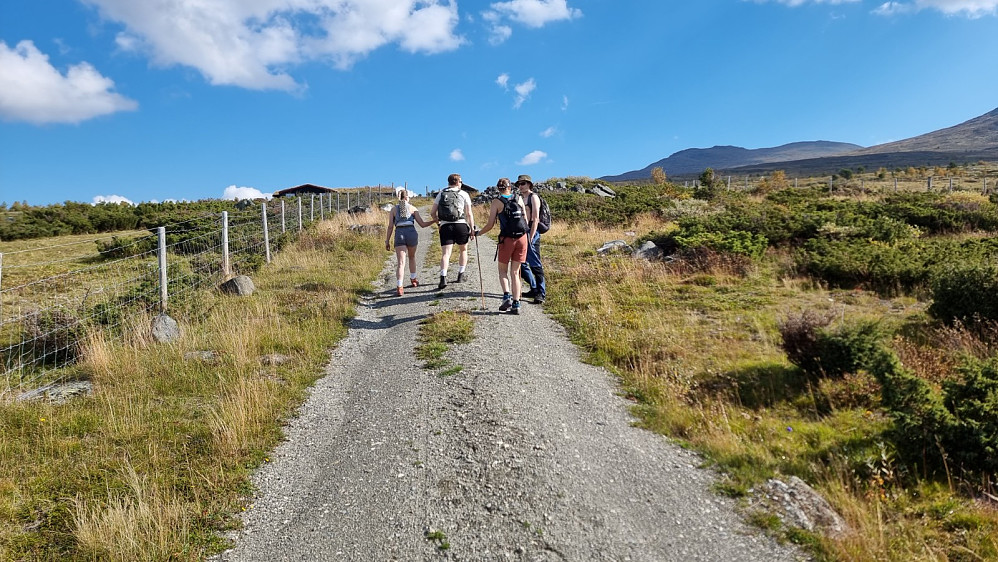 Turstart opp veien fra setra