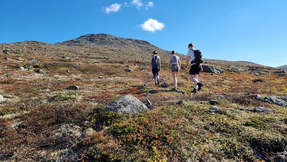 Etter Trollsteien snudde GO tilbake ned til setra, mens ungdommene og jeg tatte kursen opp mot Storhøa