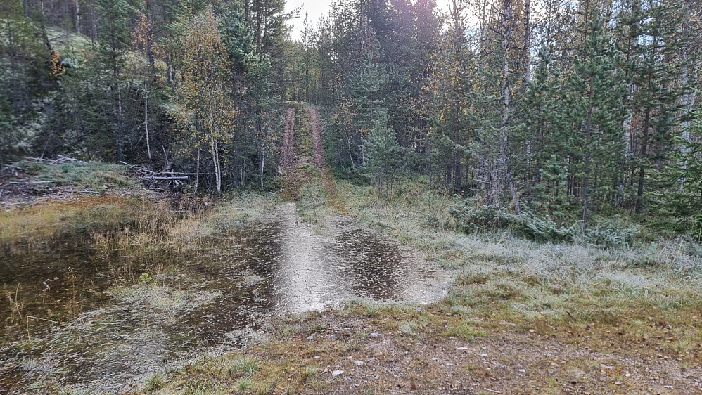 Her tok kjerreveien av opp fjellsiden. Men først måtte jeg krysse denne islagte vanndammen