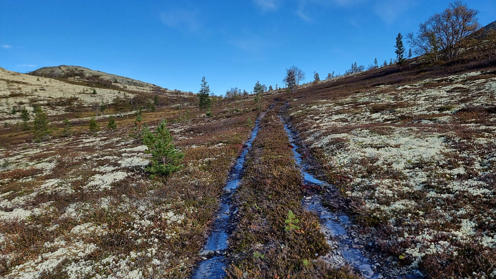 Jeg kunne sykle helt opp i skaret mellom toppene, Her var det et parti med våt sti