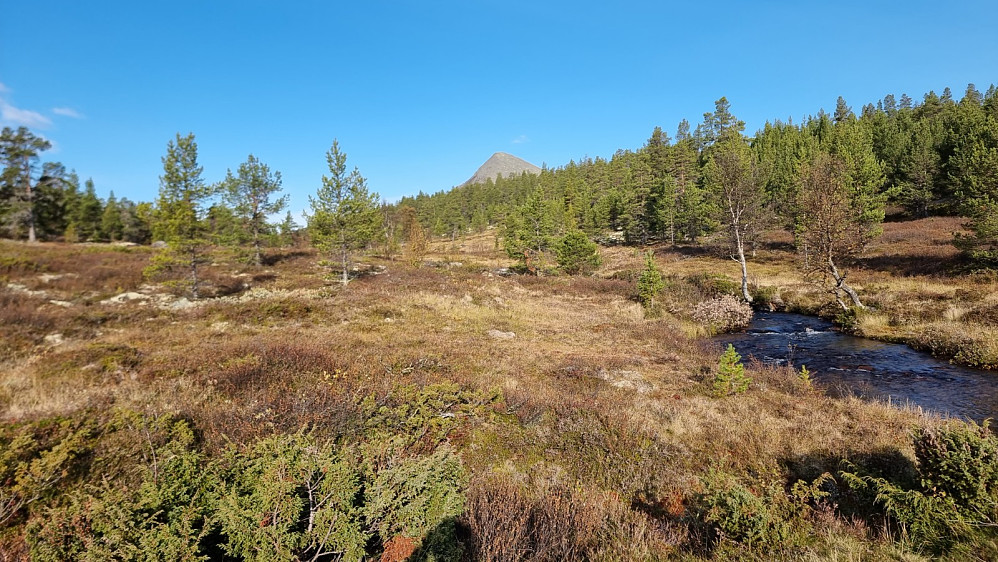 Fra turstart hadde jeg fri sikt opp på den majestetiske Høykuven