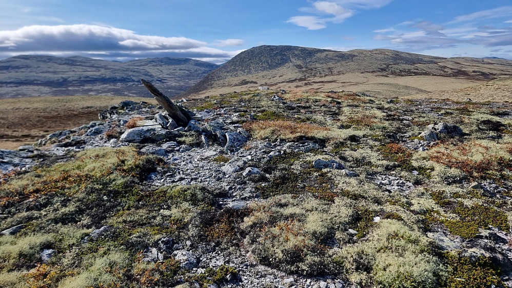 Fra toppen av Vardfjellet og tilbake over mot Høykuven, som ikke ser like imponerendes ut herfra