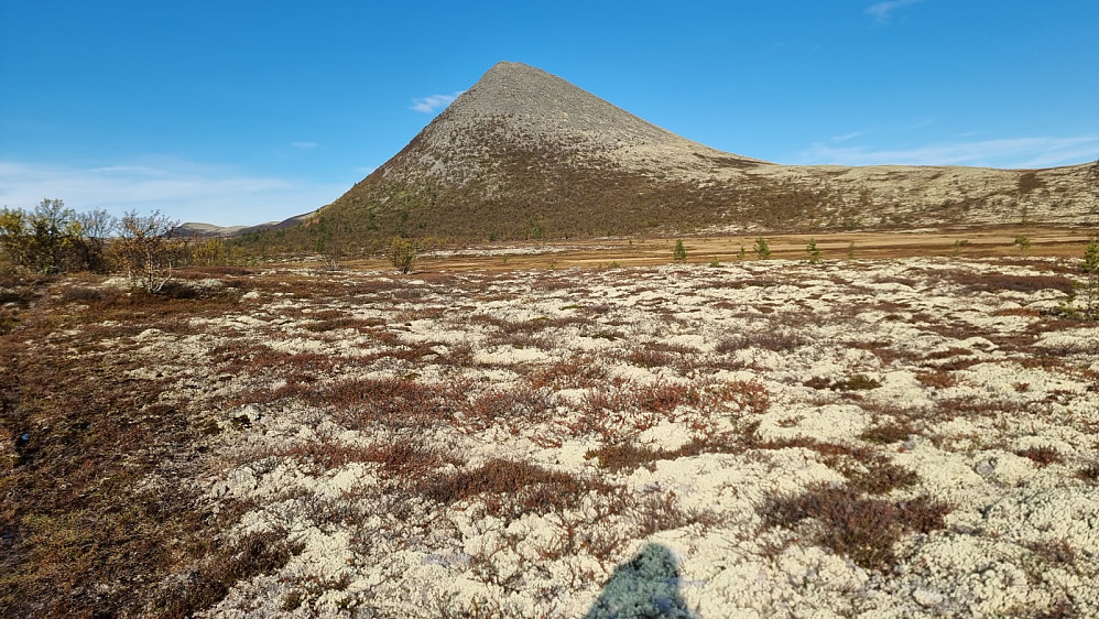 Inne ved myrene fikk jeg se hele fjellet, og herfra virket det storslagent