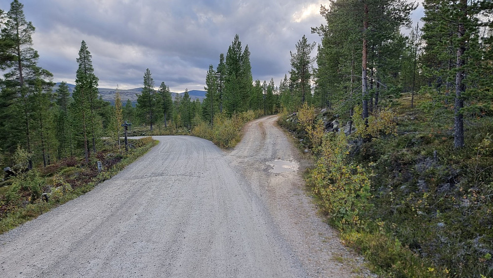 Jeg måtte sykle litt fra parkeringsplassen jeg fant, og bort til der veien gikk inn mot Skarvklettan