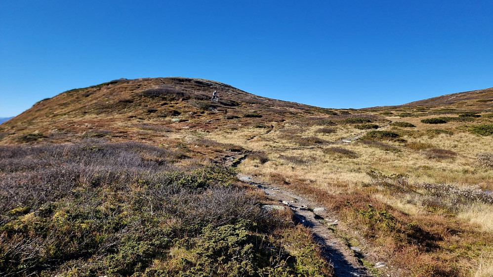TMT i fint driv ned fra Kristianvarden