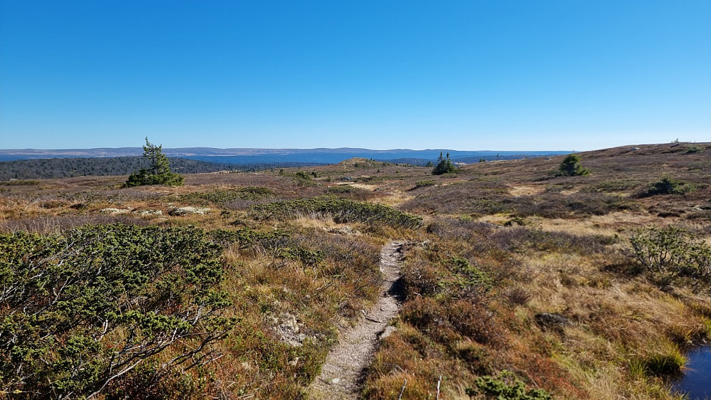 På tur bort til Snauskallen. Jeg tok matpause på Snauskallen, og hadde derfra utsikt ned på Storlia. Da gikk det opp for meg at dette var en topp jeg ikke hadde vært på før