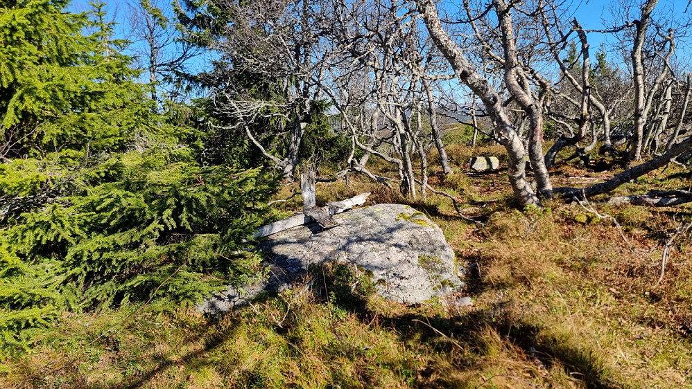 Høyeste punkt på Storlia