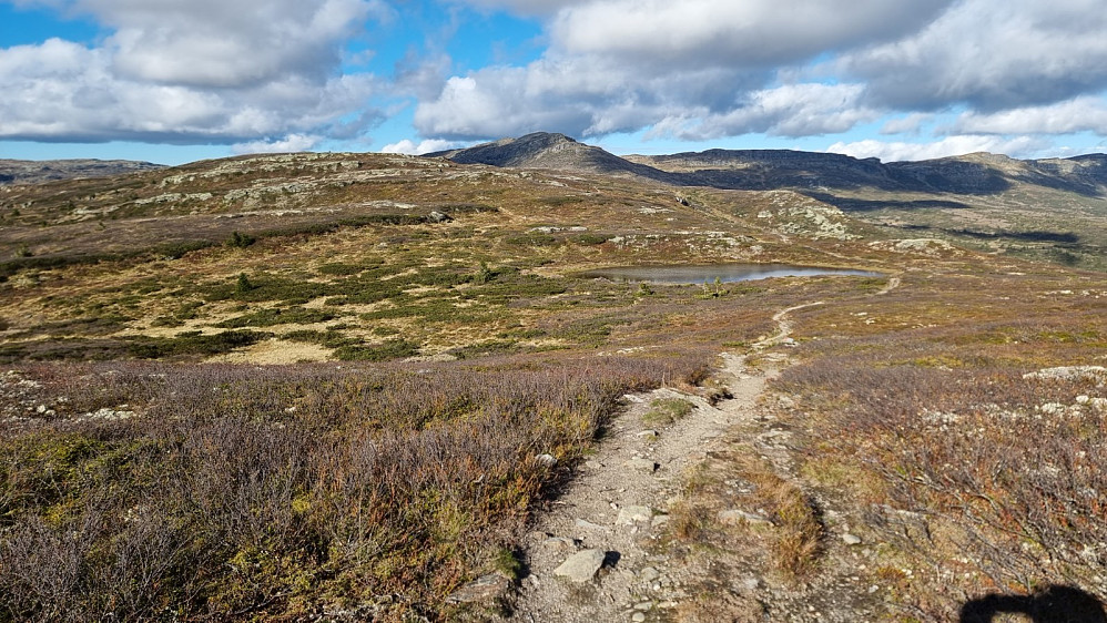 Oppe på fjellet var det imidlertid en helt annen sak, med flotte tørre stier. Her mot Prestkampen