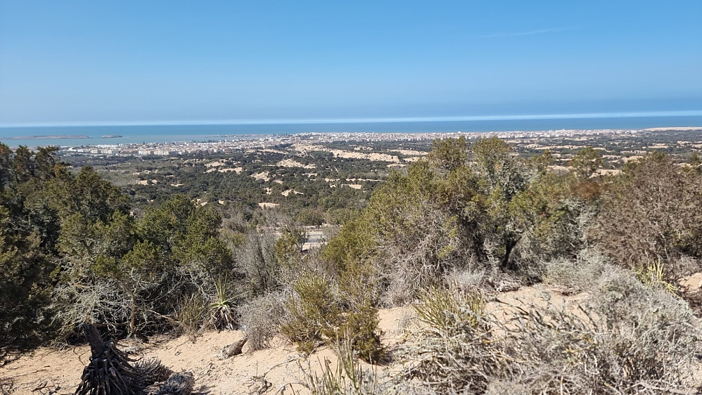 Utsikt ned på Essaouira