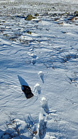 NJK500_20241012_670a4ca7cfe6b.jpg