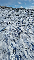 NJK500_20241012_670a4ca858665.jpg