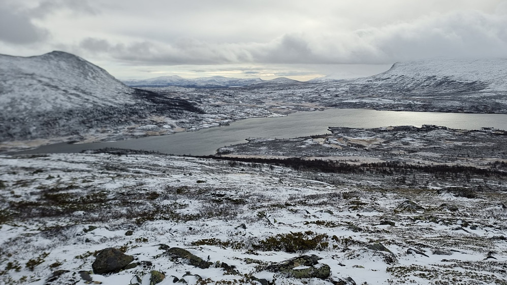 Litt oppe i lia og ned på Nedre Heimdalsvatnet