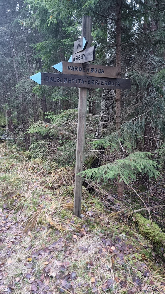 Skiltet og merket sti hele turen